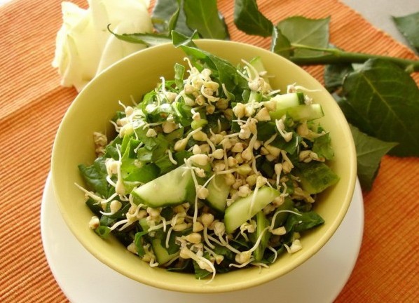 Новини Тернополя - фото з Три роки жили лише на гречці: незвична історія родини з Тернопільщини Пророщенная гречка - польза и вред