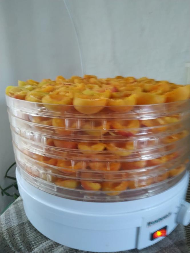 Новини Тернополя - фото з Три роки жили лише на гречці: незвична історія родини з Тернопільщини Три роки жили лише на гречці: незвична історія родини з Тернопільщини, фото №1 на сайті 20minut.ua