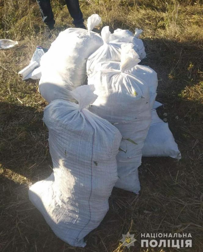 Новини Житомира - фото з В Андрушівському районі поліцейськізупинили мотоцикліста з 50-ма кілограмами  коноплі В Андрушівському районі поліцейськізупинили мотоцикліста з 50-ма кілограмами  коноплі, фото №2 на сайті 20minut.ua