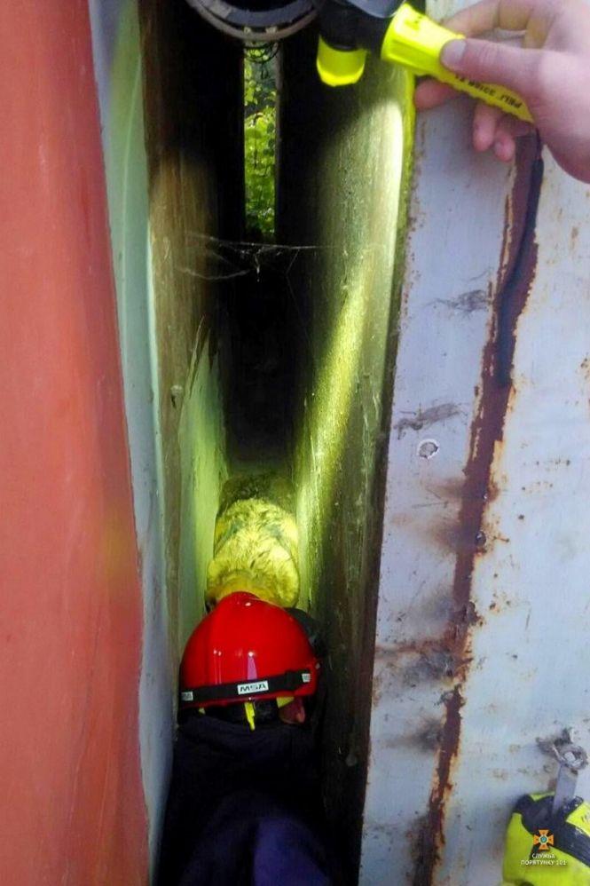 Новини Тернополя - фото з Щоб визволити собаку на вул. Довженка, тернополяни викликали рятувальників Щоб визволити собаку на вул. Довженка, тернополяни викликали рятувальників, фото №2 на сайті 20minut.ua