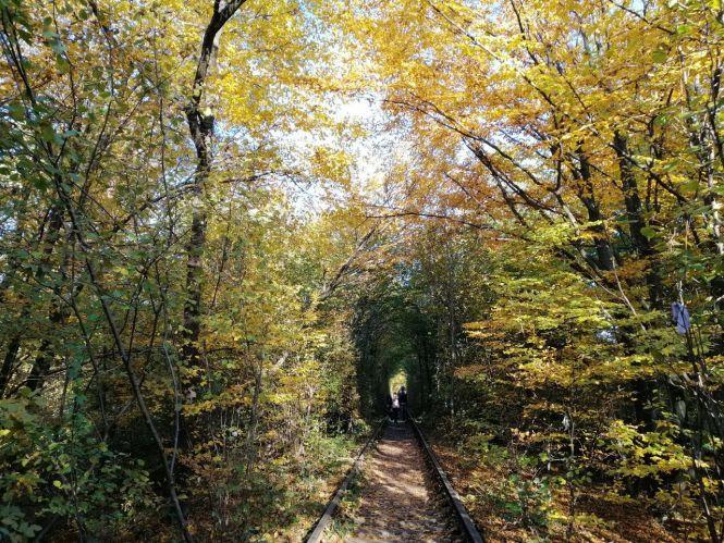 Новини Вінниці - фото з Куди поїхати восени і у скільки це обійдеться? Склали ТОП-5 маршрутів для відпочинку в Україні Куди поїхати восени і у скільки це обійдеться? Склали ТОП-5 маршрутів для відпочинку в Україні, фото №2 на сайті 20minut.ua