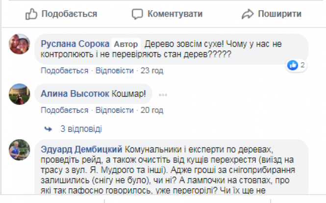 У центрі Козятина впало дерево, фото №2 на сайті 20minut.ua