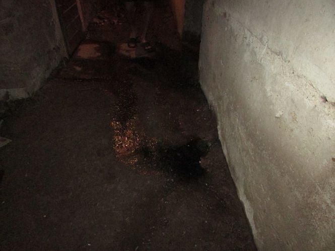 Новини Козятина - фото з Після ремонту в підвальному приміщенні на Катукова 27 проблема не зникла Після ремонту в підвальному приміщенні на Катукова 27 проблема не зникла, фото №1 на сайті 20minut.ua