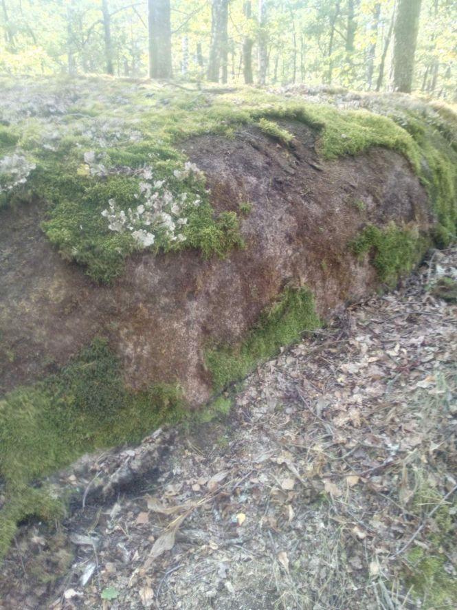 У заказнику «Камінне село» зловмисники зрізали мох з каменів: на відновлення потрібні роки, фото №1 на сайті 20minut.ua