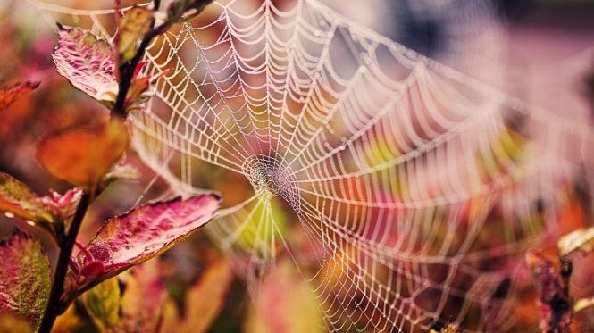 Важливе за вихідні: ТОП новин для козятинчан, фото №4 на сайті 20minut.ua