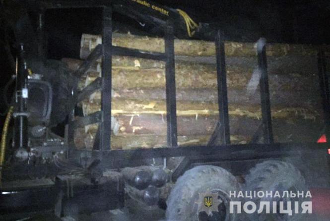У Житомирському районі поліцейські виявили вантажівку з сосновими колодами без документів, фото №1 на сайті 20minut.ua