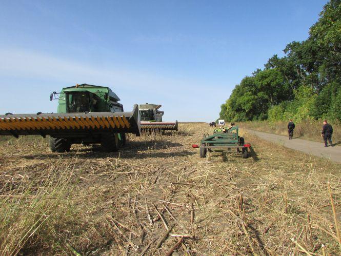 Такої кількості служб поліції ще не бачили махаринецькі поля, фото №2 на сайті 20minut.ua