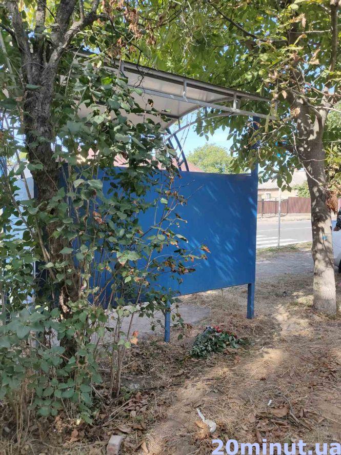 Новини Вінниці - фото з Загадкова смерть 27-річного Євгена у Жмеринці. Хлопця знайшли повішеним на зупинці Загадкова смерть 27-річного Євгена у Жмеринці. Хлопця знайшли повішеним на зупинці, фото №8 на сайті 20minut.ua