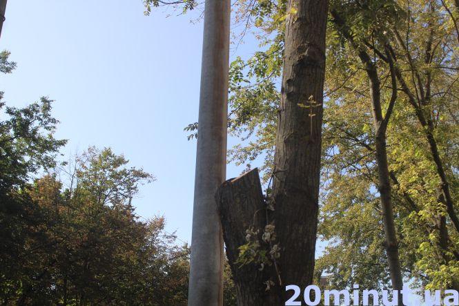 Новини Тернополя - фото з Тарнавського розширюють: у скільки це "влетить" місту та чи будуть зміни для водіїв і пішоходів Тарнавського розширюють: у скільки це "влетить" місту та чи будуть зміни для водіїв і пішоходів, фото №5 на сайті 20minut.ua