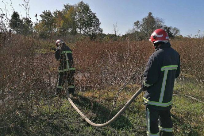 На Хмельниччині через недопалок спалахнуло торфовище. Пожежу гасили кілька бригад рятувальників, фото №2 на сайті vsim.ua