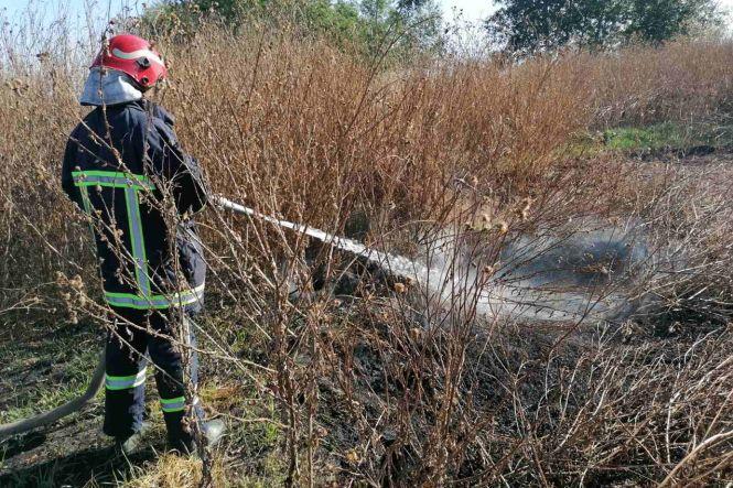 На Хмельниччині через недопалок спалахнуло торфовище. Пожежу гасили кілька бригад рятувальників, фото №1 на сайті vsim.ua