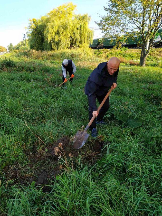 Зробимо Козятин бузковим:«Потрібні лопати та велике бажання зробити щось корисне», фото №1 на сайті 20minut.ua