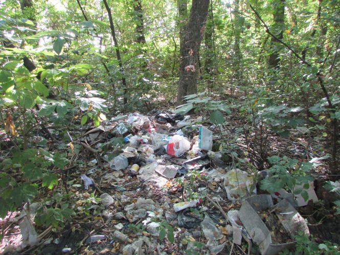 Новини Козятина - фото з Прогулянка Козятинщиною завершилась у кабінеті начальника ЖКГ Прогулянка Козятинщиною завершилась у кабінеті начальника ЖКГ, фото №4 на сайті 20minut.ua