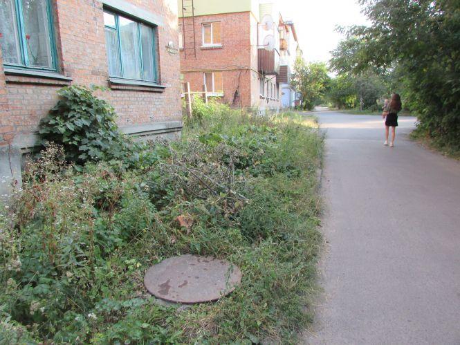 Новини Козятина - фото з Прогулянка Козятинщиною завершилась у кабінеті начальника ЖКГ Прогулянка Козятинщиною завершилась у кабінеті начальника ЖКГ, фото №1 на сайті 20minut.ua