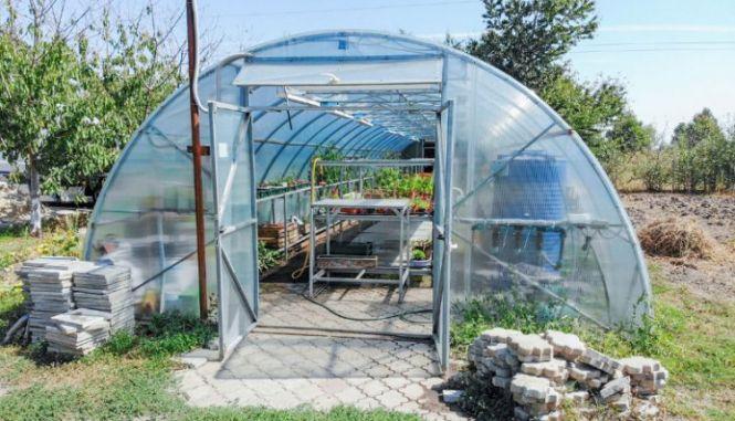 Новини Вінниці - фото з Унікальне тепличне господарство під Вінницею. Городину вирощує молодь з інвалідністю Унікальне тепличне господарство під Вінницею. Городину вирощує молодь з інвалідністю, фото №1 на сайті 20minut.ua