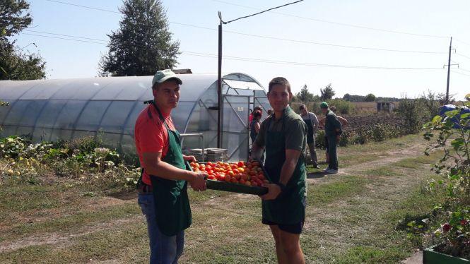 Новини Вінниці - фото з Унікальне тепличне господарство під Вінницею. Городину вирощує молодь з інвалідністю Унікальне тепличне господарство під Вінницею. Городину вирощує молодь з інвалідністю, фото №4 на сайті 20minut.ua