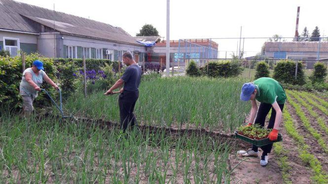 Новини Вінниці - фото з Унікальне тепличне господарство під Вінницею. Городину вирощує молодь з інвалідністю Унікальне тепличне господарство під Вінницею. Городину вирощує молодь з інвалідністю, фото №8 на сайті 20minut.ua