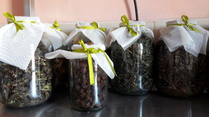 Новини Вінниці - фото з Унікальне тепличне господарство під Вінницею. Городину вирощує молодь з інвалідністю Унікальне тепличне господарство під Вінницею. Городину вирощує молодь з інвалідністю, фото №10 на сайті 20minut.ua