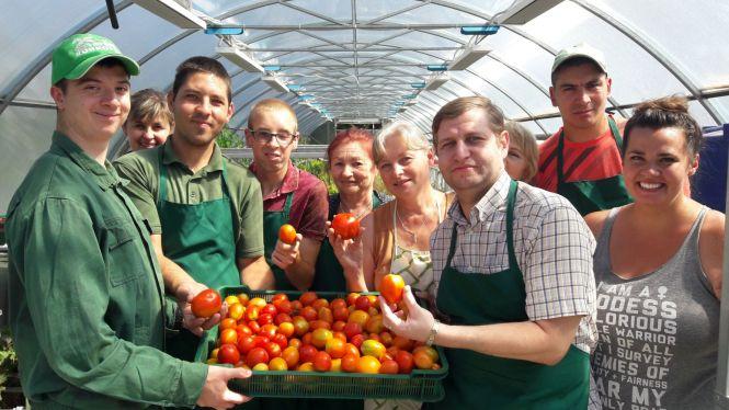Новини Вінниці - фото з Унікальне тепличне господарство під Вінницею. Городину вирощує молодь з інвалідністю Унікальне тепличне господарство під Вінницею. Городину вирощує молодь з інвалідністю, фото №9 на сайті 20minut.ua