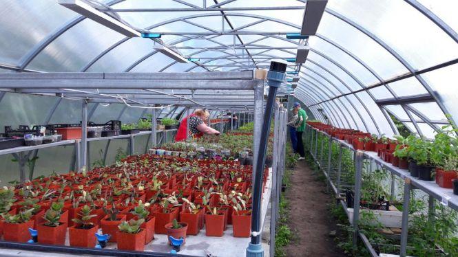 Новини Вінниці - фото з Унікальне тепличне господарство під Вінницею. Городину вирощує молодь з інвалідністю Унікальне тепличне господарство під Вінницею. Городину вирощує молодь з інвалідністю, фото №2 на сайті 20minut.ua