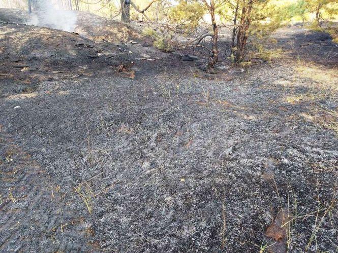 Вогнеборці продовжують ліквідовувати загоряння в екосистемах області: за добу - 17 пожеж, фото №1 на сайті 20minut.ua