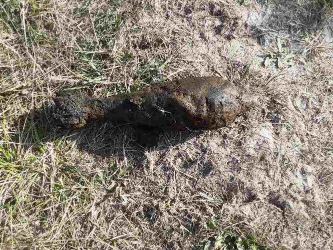 Шукачі металу на Бердичівщині знайшли два вибухонебезпечні предмети, фото №1 на сайті 20minut.ua