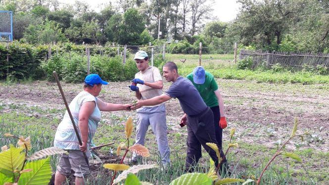 Новини Вінниці - фото з Унікальне тепличне господарство під Вінницею. Городину вирощує молодь з інвалідністю Унікальне тепличне господарство під Вінницею. Городину вирощує молодь з інвалідністю, фото №7 на сайті 20minut.ua