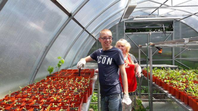 Новини Вінниці - фото з Унікальне тепличне господарство під Вінницею. Городину вирощує молодь з інвалідністю Унікальне тепличне господарство під Вінницею. Городину вирощує молодь з інвалідністю, фото №6 на сайті 20minut.ua