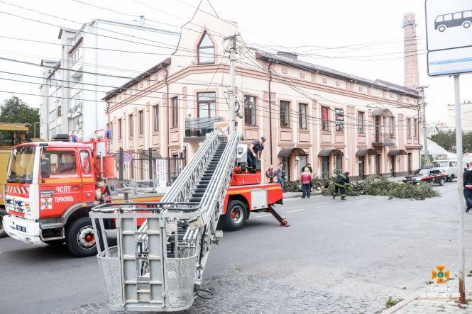 Новини Тернополя - фото з У Тернополі гілки пошкодженого дерева впали на електролінії: люди викликали рятувальників (ФОТО) У Тернополі гілки пошкодженого дерева впали на електролінії: люди викликали рятувальників (ФОТО), фото №2 на сайті 20minut.ua