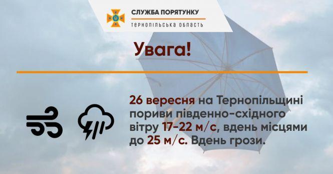 Новини Тернополя - фото з У Тернополі сильний вітер поламав гілки та повалив дерева у парках У Тернополі сильний вітер поламав гілки та повалив дерева у парках, фото №2 на сайті 20minut.ua