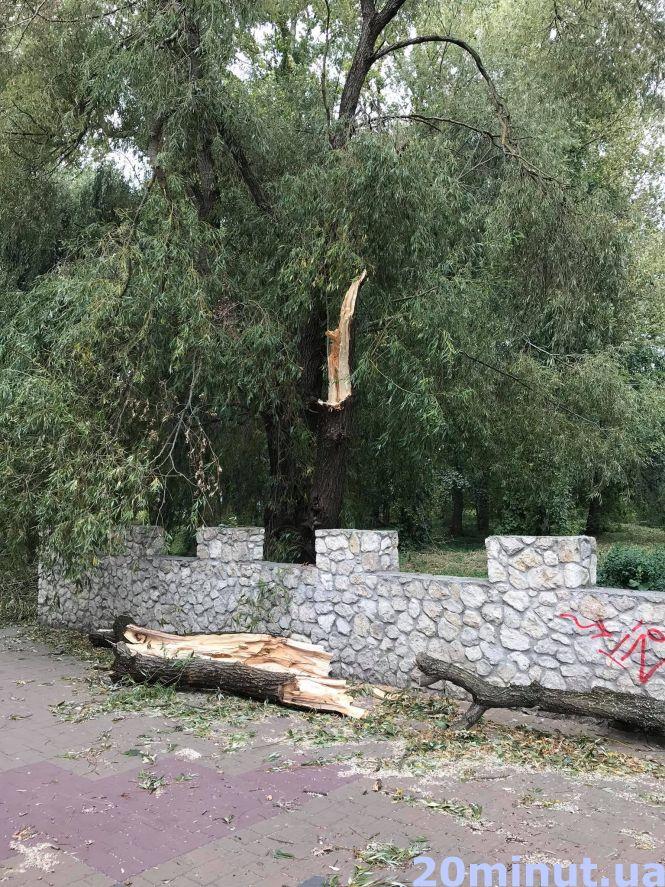 Новини Тернополя - фото з У Тернополі сильний вітер поламав гілки та повалив дерева у парках У Тернополі сильний вітер поламав гілки та повалив дерева у парках, фото №1 на сайті 20minut.ua
