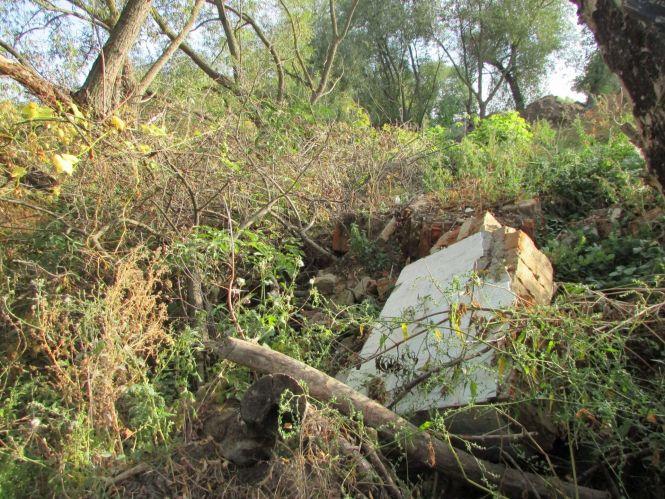 Важливе за вихідні: ТОП новин для козятинчан, фото №1 на сайті 20minut.ua