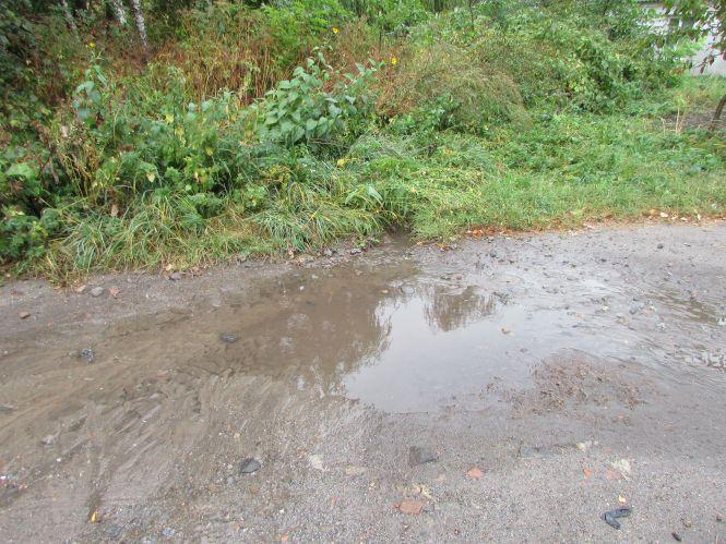 Після дощу в пенсіонерки Валентини Сушко починаються проблеми, фото №1 на сайті 20minut.ua