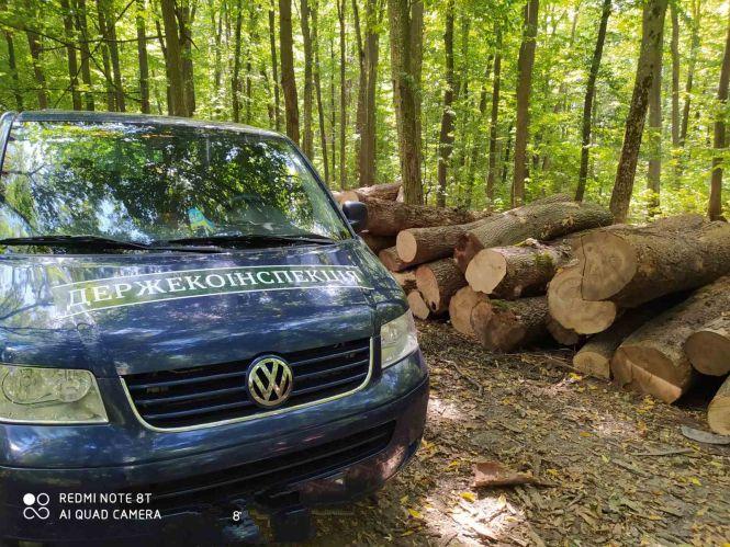 Новини Вінниці - фото з Дерева рубають — друзки летять, або як відбувається масове знищення лісів на Вінниччині Дерева рубають — друзки летять, або як відбувається масове знищення лісів на Вінниччині, фото №5 на сайті 20minut.ua