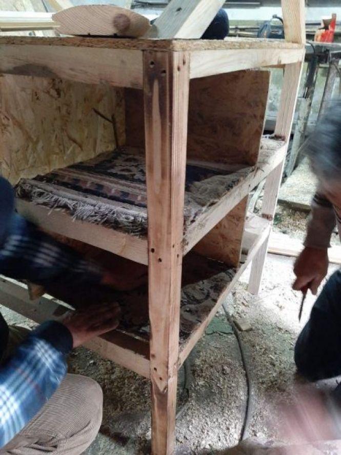 Новини Тернополя - фото з У Тернополі облаштовують котячу "багатоповерхівку" (ФОТО) У Тернополі облаштовують котячу "багатоповерхівку" (ФОТО), фото №3 на сайті 20minut.ua