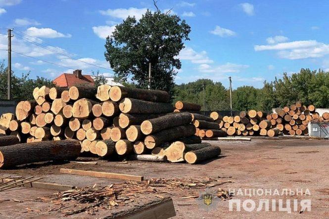 Новини Вінниці - фото з Дерева рубають — друзки летять, або як відбувається масове знищення лісів на Вінниччині Дерева рубають — друзки летять, або як відбувається масове знищення лісів на Вінниччині, фото №4 на сайті 20minut.ua