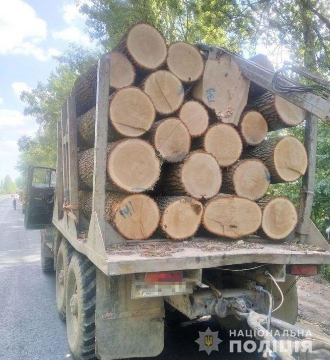 Новини Вінниці - фото з Дерева рубають — друзки летять, або як відбувається масове знищення лісів на Вінниччині Дерева рубають — друзки летять, або як відбувається масове знищення лісів на Вінниччині, фото №3 на сайті 20minut.ua