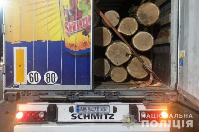 Новини Вінниці - фото з Дерева рубають — друзки летять, або як відбувається масове знищення лісів на Вінниччині Дерева рубають — друзки летять, або як відбувається масове знищення лісів на Вінниччині, фото №2 на сайті 20minut.ua