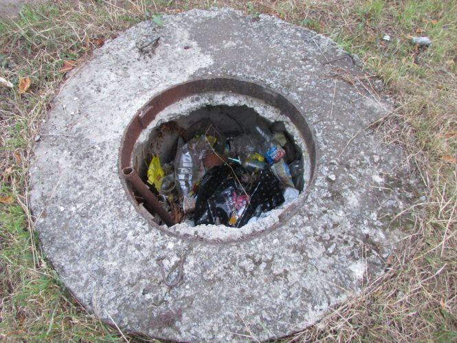 Прогулянка Козятинщиною: цукор по кілограму в руки та груші на дорозі, фото №5 на сайті 20minut.ua