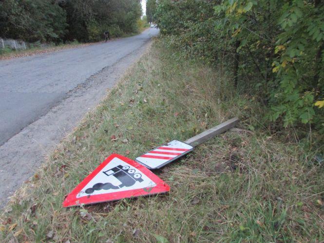 Прогулянка Козятинщиною: цукор по кілограму в руки та груші на дорозі, фото №4 на сайті 20minut.ua
