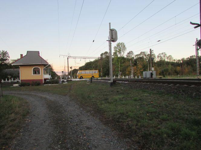 Прогулянка Козятинщиною: цукор по кілограму в руки та груші на дорозі, фото №6 на сайті 20minut.ua