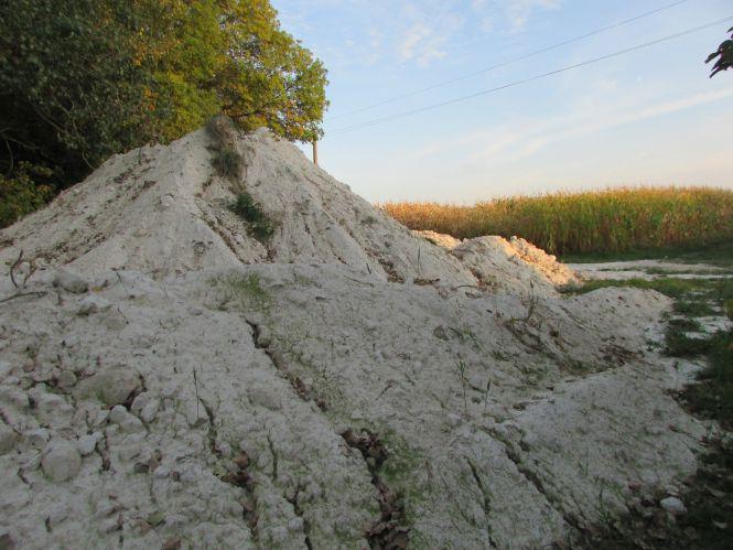 Прогулянка Козятинщиною: цукор по кілограму в руки та груші на дорозі, фото №1 на сайті 20minut.ua