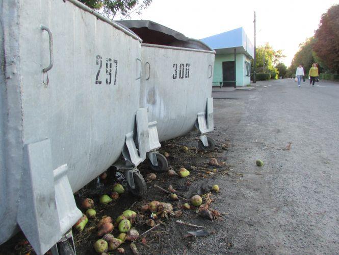 Прогулянка Козятинщиною: цукор по кілограму в руки та груші на дорозі, фото №3 на сайті 20minut.ua