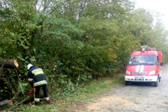 На Хмельниччині рятувальники ліквідували наслідки негоди (ФОТО), фото №2 на сайті vsim.ua