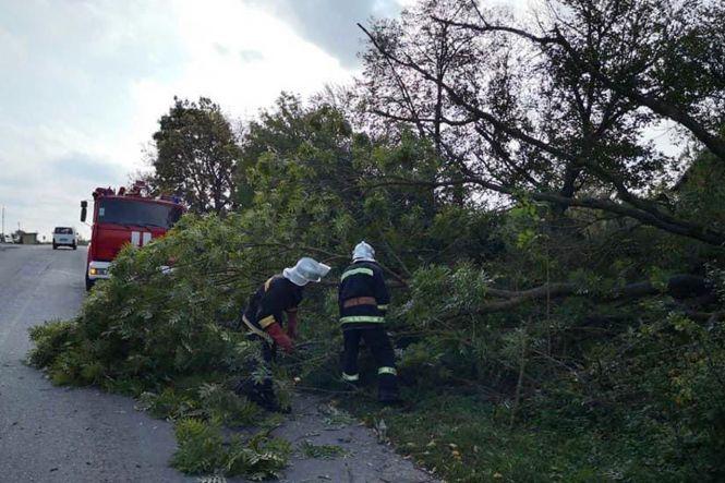 На Хмельниччині рятувальники ліквідували наслідки негоди (ФОТО), фото №3 на сайті vsim.ua