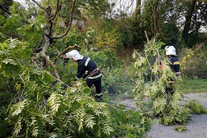 На Хмельниччині рятувальники ліквідували наслідки негоди (ФОТО), фото №4 на сайті vsim.ua