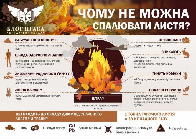 Новини Житомира - фото з За самовільне спалювання сміття, сухої трави та листя - штраф За самовільне спалювання сміття, сухої трави та листя - штраф, фото №1 на сайті 20minut.ua