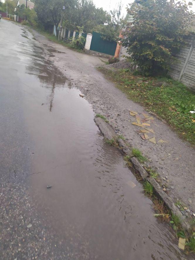 Новини Козятина - фото з Фото дня: в Козятині задощило Фото дня: в Козятині задощило, фото №3 на сайті 20minut.ua