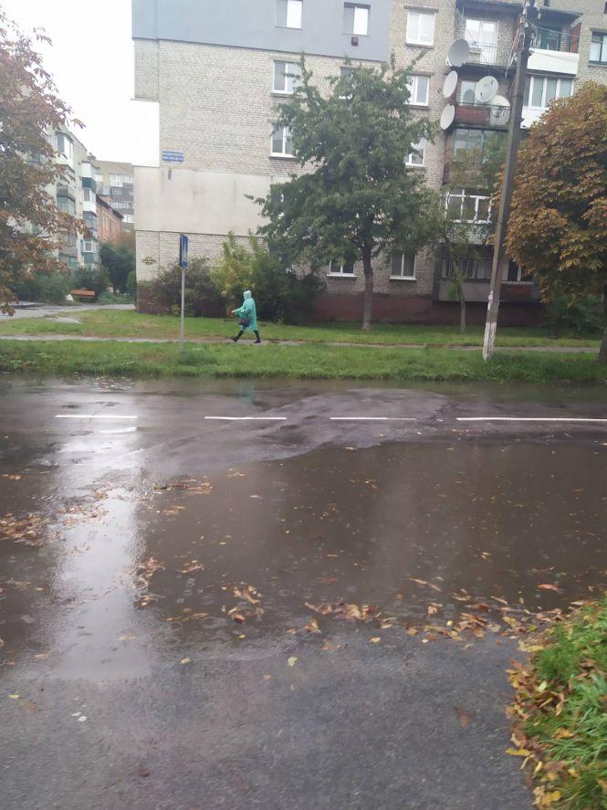 Новини Козятина - фото з Фото дня: в Козятині задощило Фото дня: в Козятині задощило, фото №8 на сайті 20minut.ua