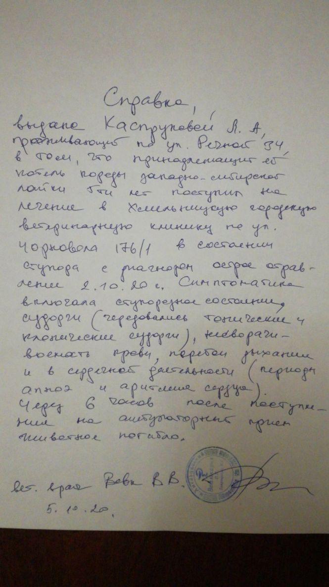 Новини Хмельницького - фото з В центрі Хмельницького від отруєнь померли собаки: підозрюють догхантерів В центрі Хмельницького від отруєнь померли собаки: підозрюють догхантерів, фото №2 на сайті vsim.ua